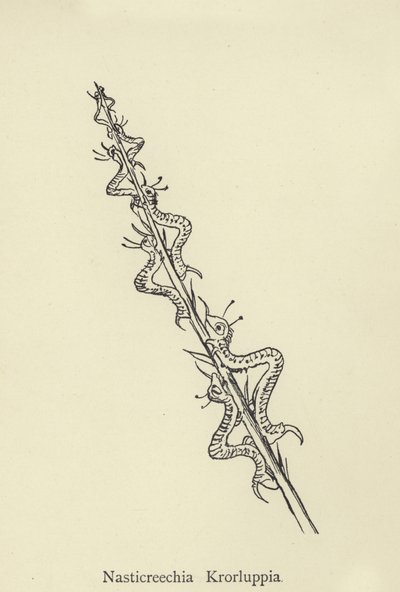 Nasticreechia Krorluppia 作： Edward Lear